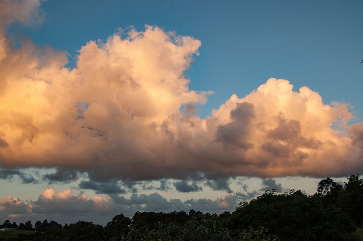 cumulus mediocris : McLeans Ridges, NSW   11 November 2008