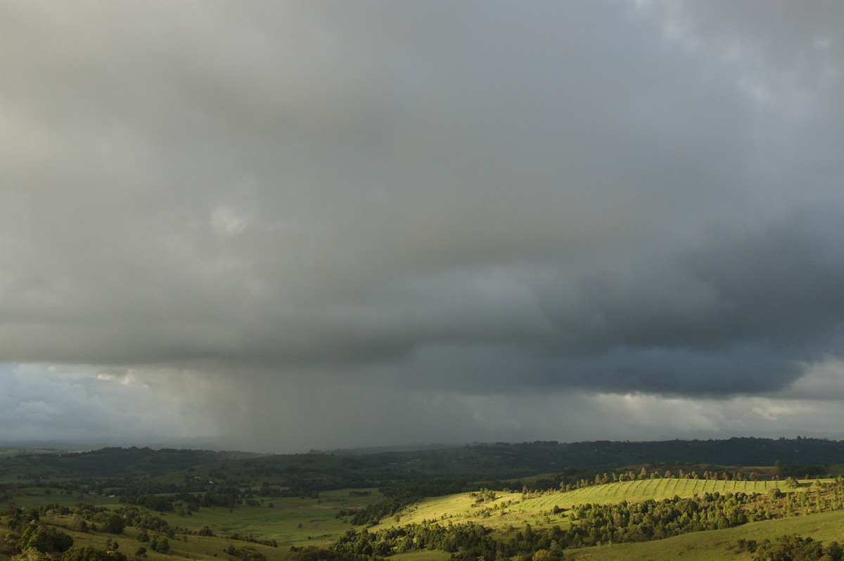 raincascade precipitation_cascade : McLeans Ridges, NSW   12 November 2008