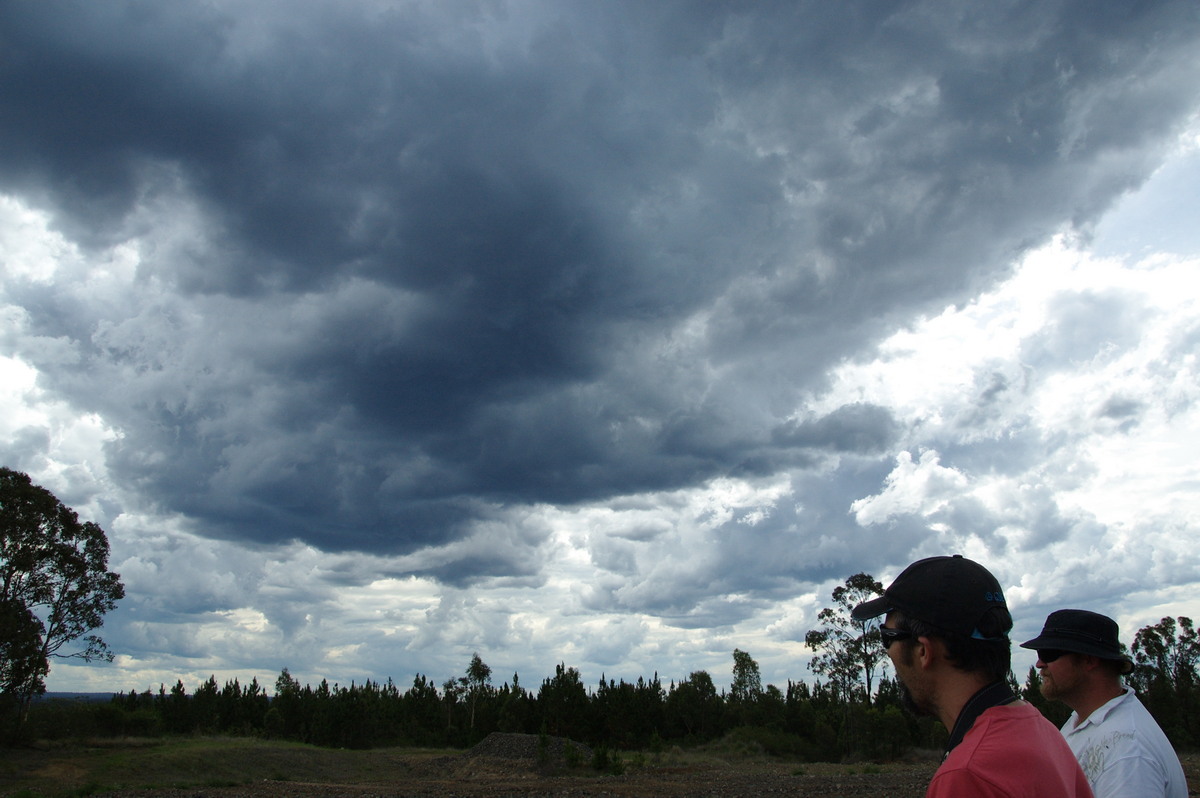 cumulus congestus : Whiporie, NSW   15 November 2008