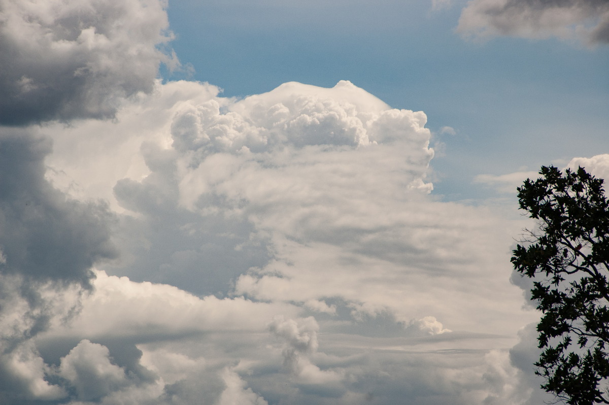 pileus pileus_cap_cloud : Whiporie, NSW   15 November 2008