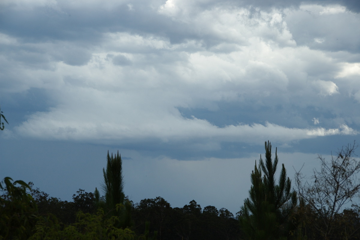 cumulonimbus thunderstorm_base : Whiporie, NSW   15 November 2008