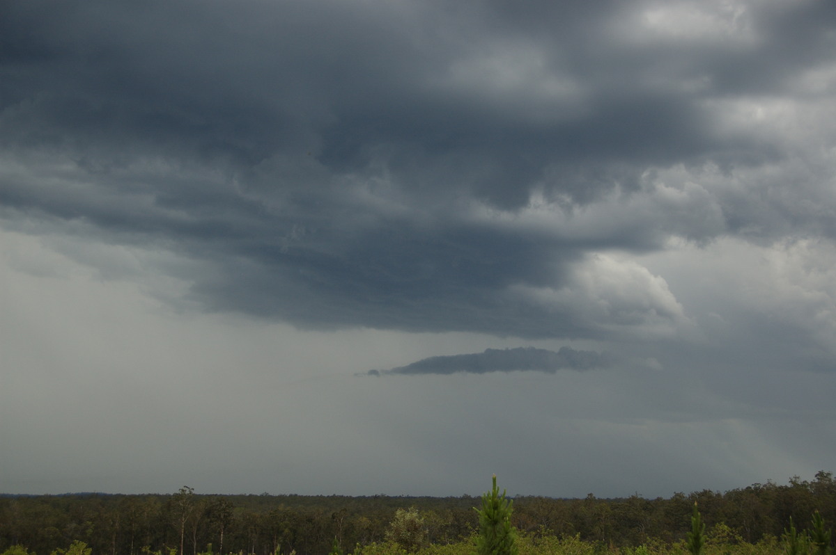 cumulonimbus thunderstorm_base : Whiporie, NSW   15 November 2008