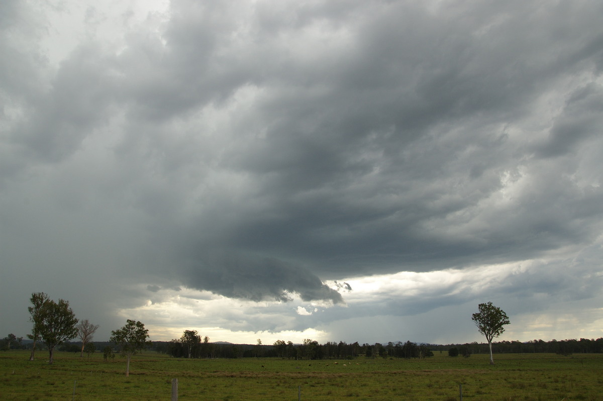 cumulonimbus thunderstorm_base : Whiporie, NSW   15 November 2008