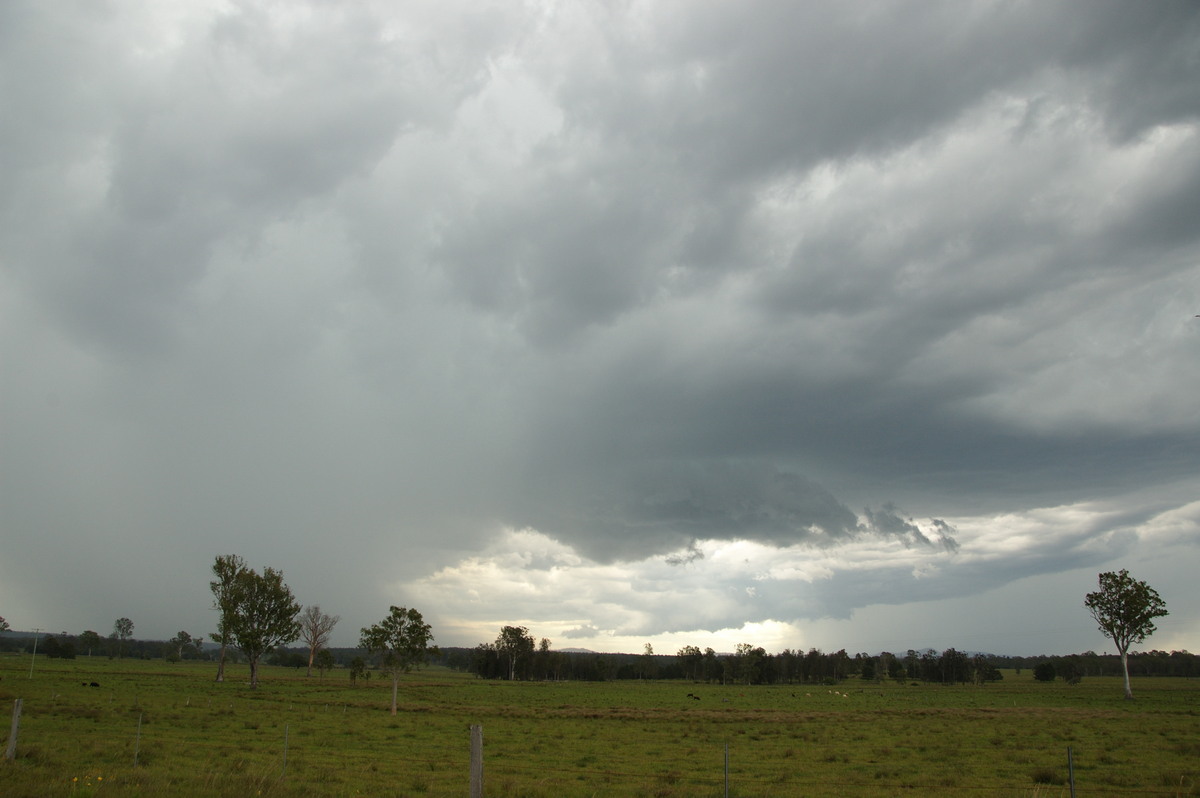 cumulonimbus thunderstorm_base : Whiporie, NSW   15 November 2008