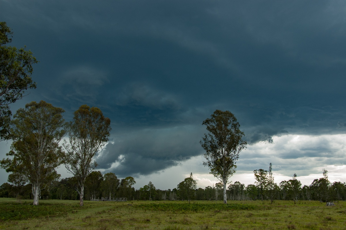 wallcloud thunderstorm_wall_cloud : Myrtle Creek, NSW   15 November 2008