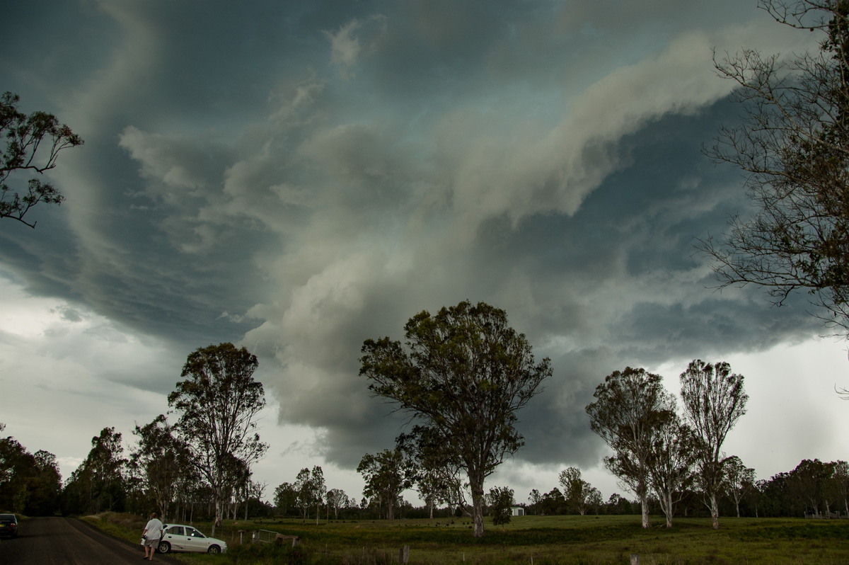 cumulonimbus thunderstorm_base : Myrtle Creek, NSW   15 November 2008