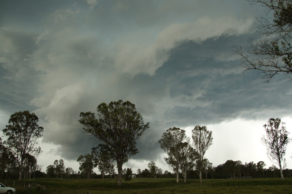 cumulonimbus thunderstorm_base : Myrtle Creek, NSW   15 November 2008