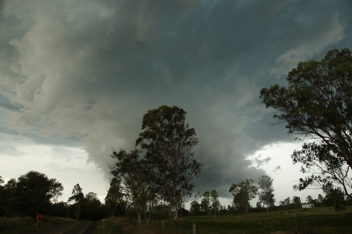 wallcloud thunderstorm_wall_cloud : Myrtle Creek, NSW   15 November 2008