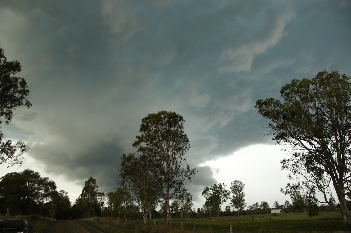 wallcloud thunderstorm_wall_cloud : Myrtle Creek, NSW   15 November 2008