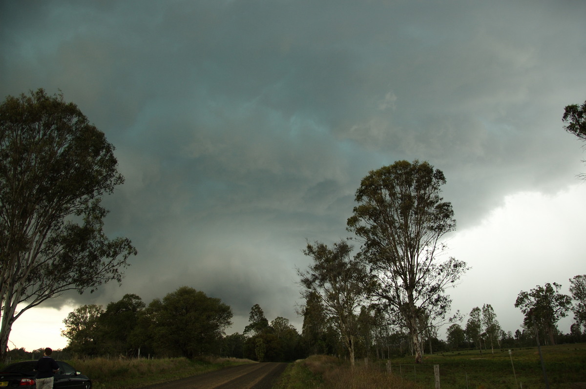 wallcloud thunderstorm_wall_cloud : Myrtle Creek, NSW   15 November 2008