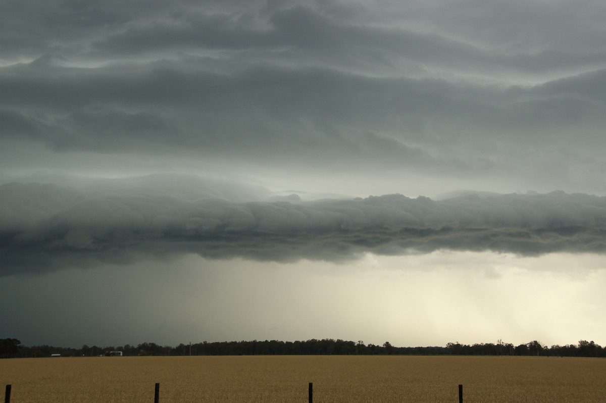 shelfcloud shelf_cloud : E of Casino, NSW   15 November 2008