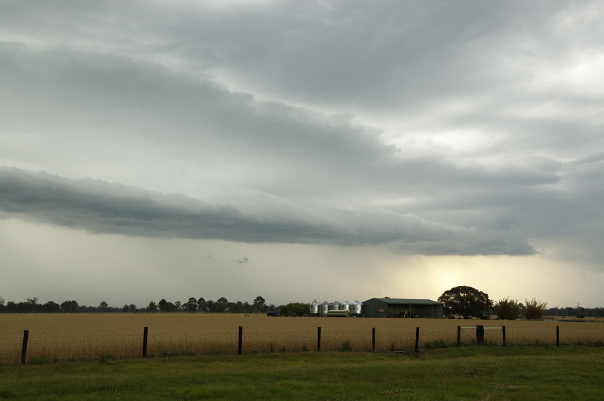 shelfcloud shelf_cloud : E of Casino, NSW   15 November 2008