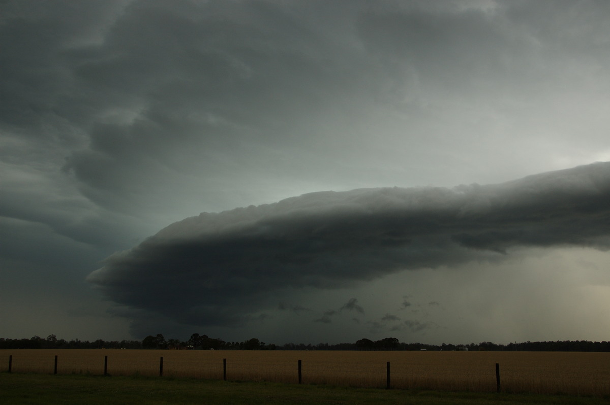 shelfcloud shelf_cloud : E of Casino, NSW   15 November 2008