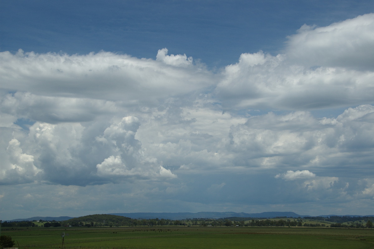 cumulus congestus : Cedar Point, NSW   16 November 2008