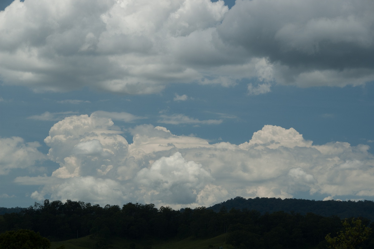 cumulus congestus : Cedar Point, NSW   16 November 2008