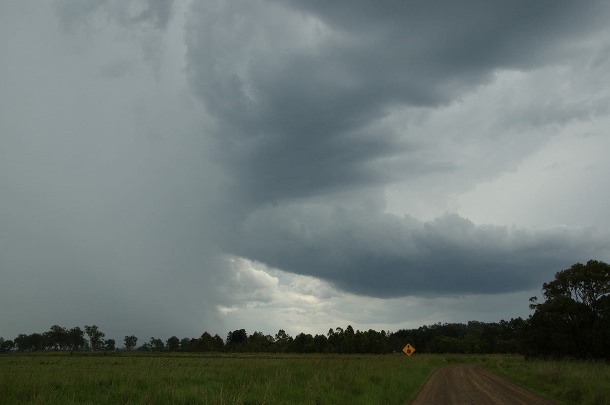 cumulonimbus thunderstorm_base : Cedar Point, NSW   16 November 2008