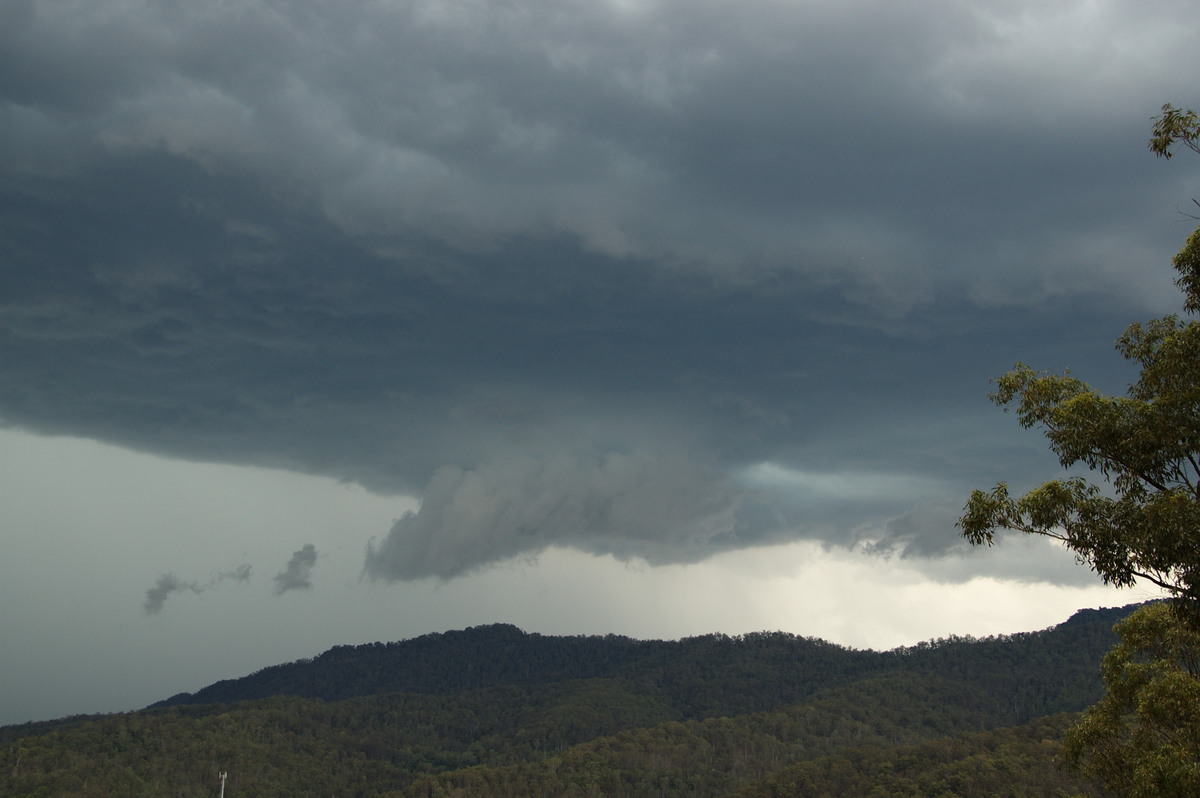 wallcloud thunderstorm_wall_cloud : Cougal, NSW   16 November 2008