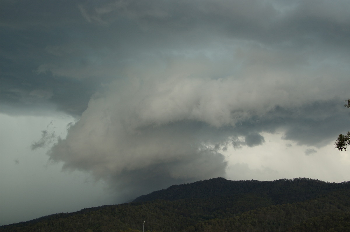 wallcloud thunderstorm_wall_cloud : Cougal, NSW   16 November 2008