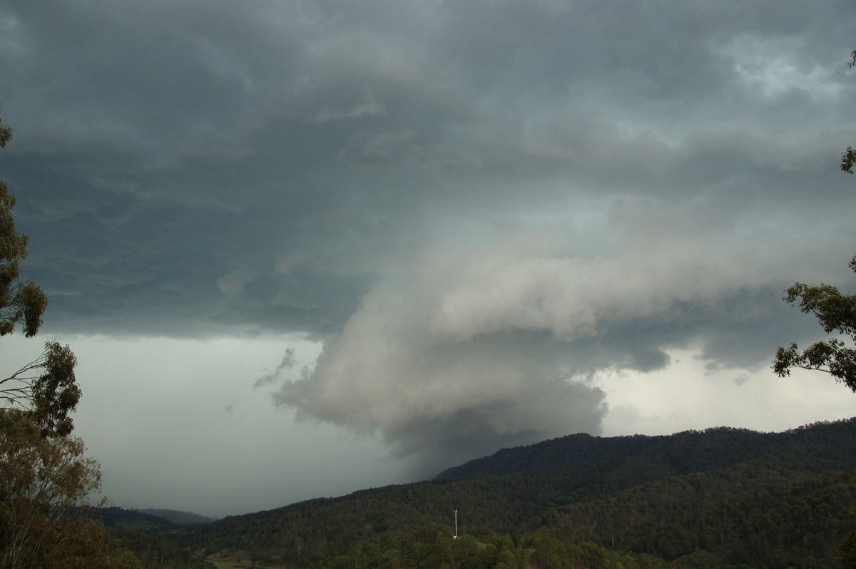 wallcloud thunderstorm_wall_cloud : Cougal, NSW   16 November 2008