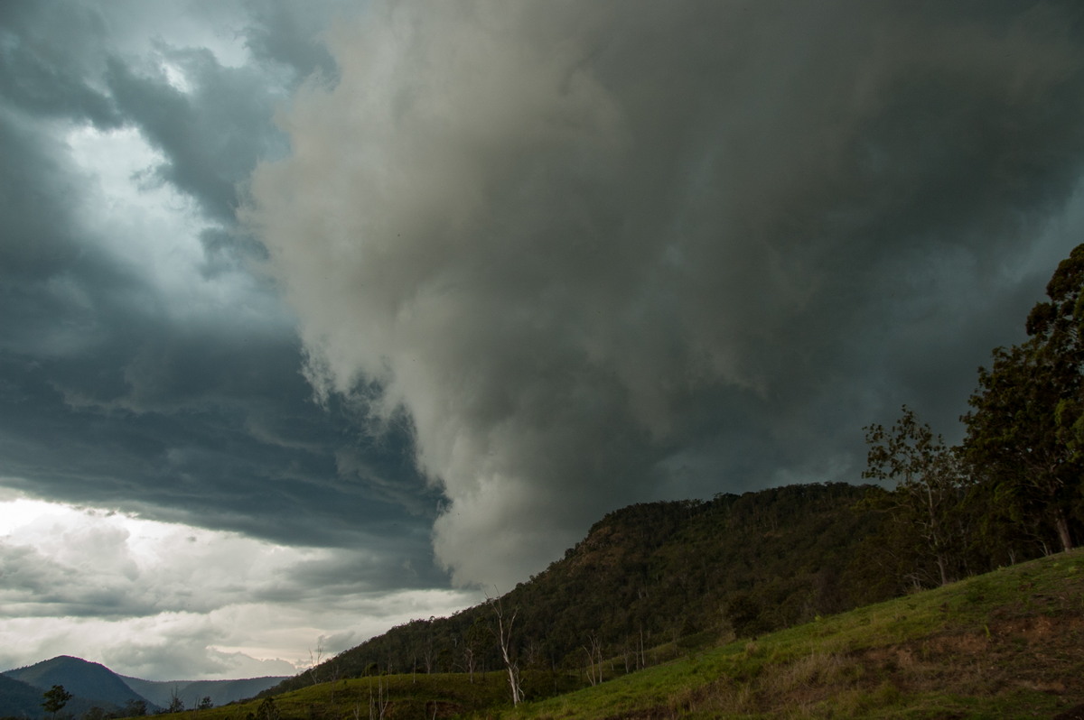 shelfcloud shelf_cloud : Border Ranges, NSW   16 November 2008