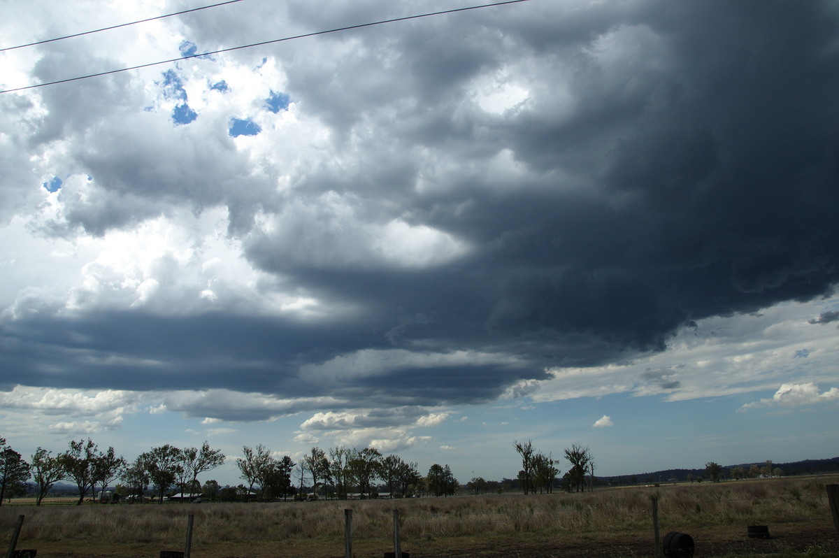 cumulus congestus : Beaudesert, QLD   16 November 2008