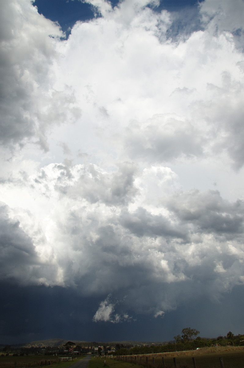 updraft thunderstorm_updrafts : Beaudesert, QLD   16 November 2008