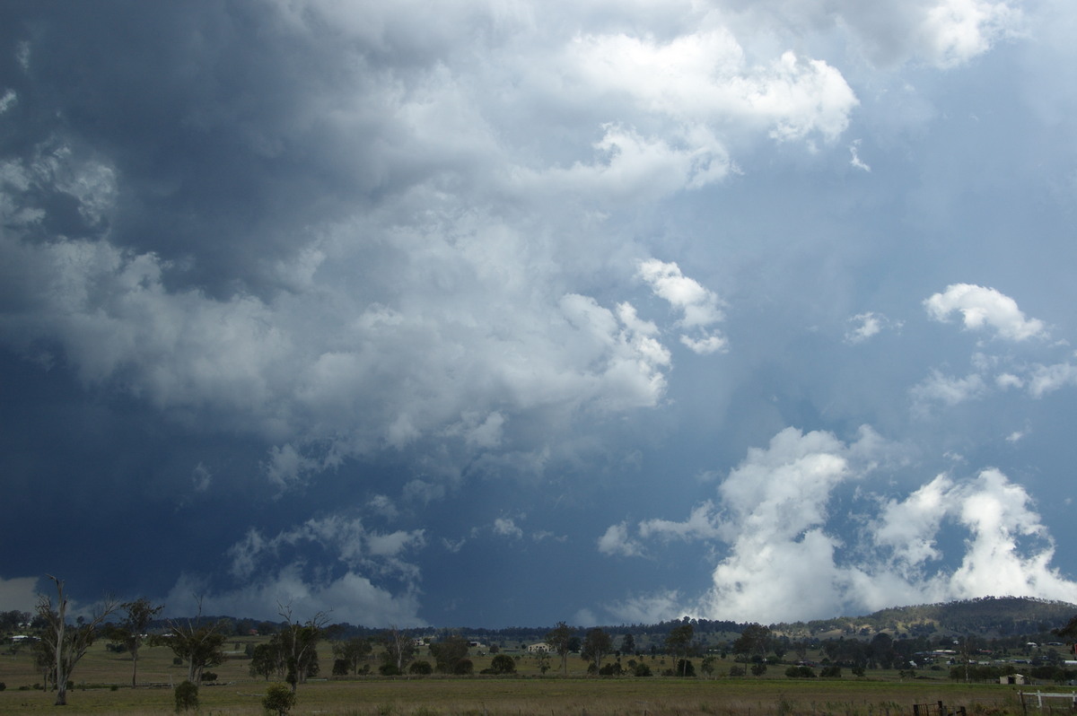 cumulonimbus thunderstorm_base : Beaudesert, QLD   16 November 2008