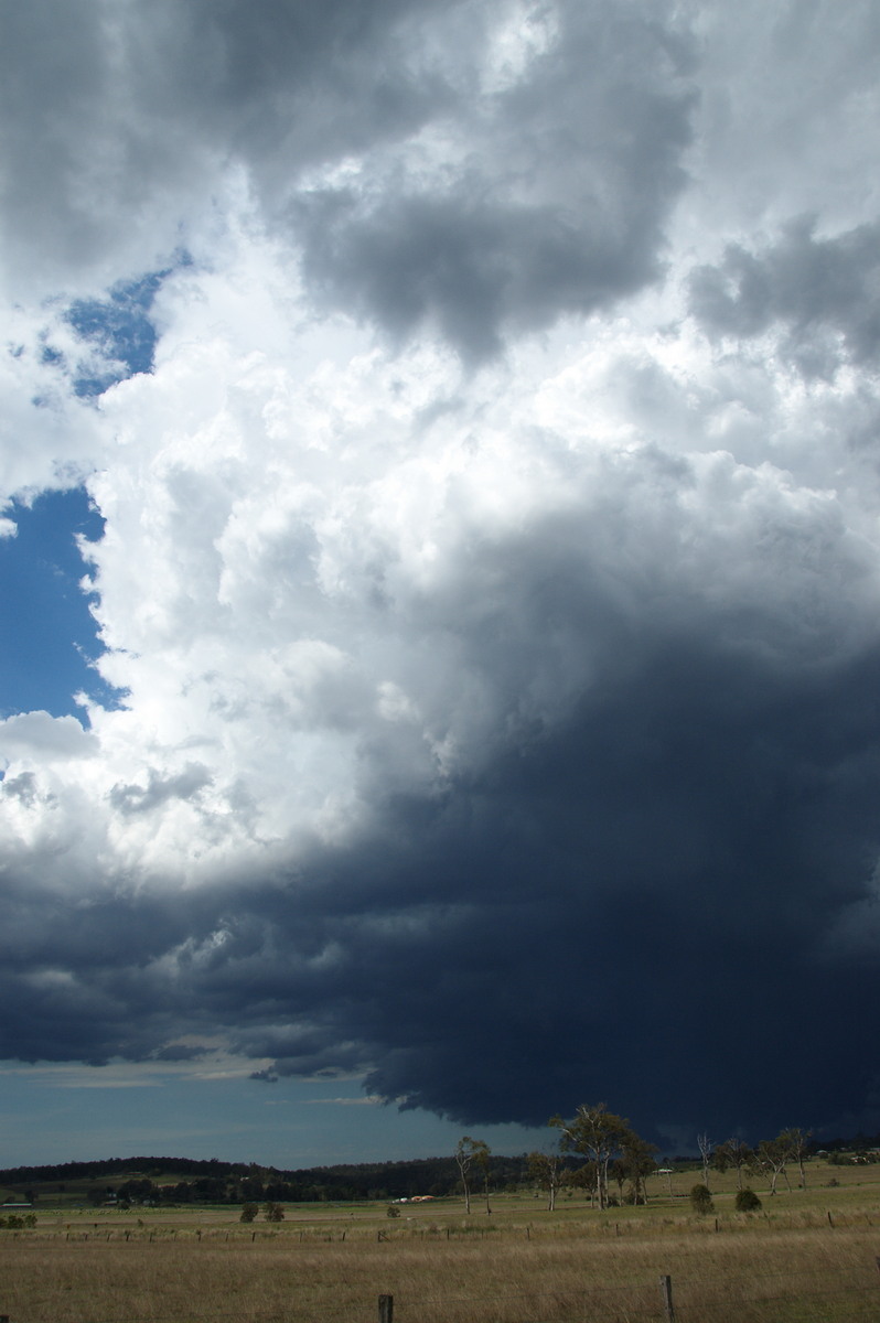 updraft thunderstorm_updrafts : Beaudesert, QLD   16 November 2008