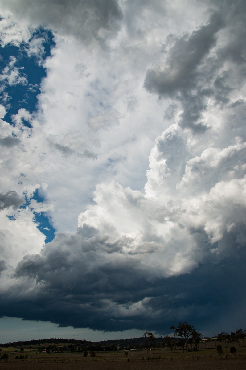 cumulonimbus supercell_thunderstorm : Beaudesert, QLD   16 November 2008