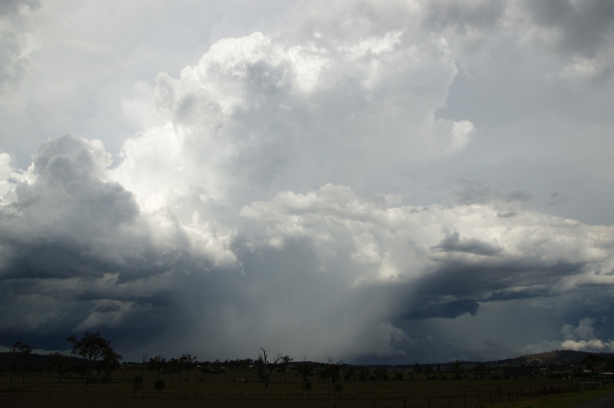 raincascade precipitation_cascade : Beaudesert, QLD   16 November 2008