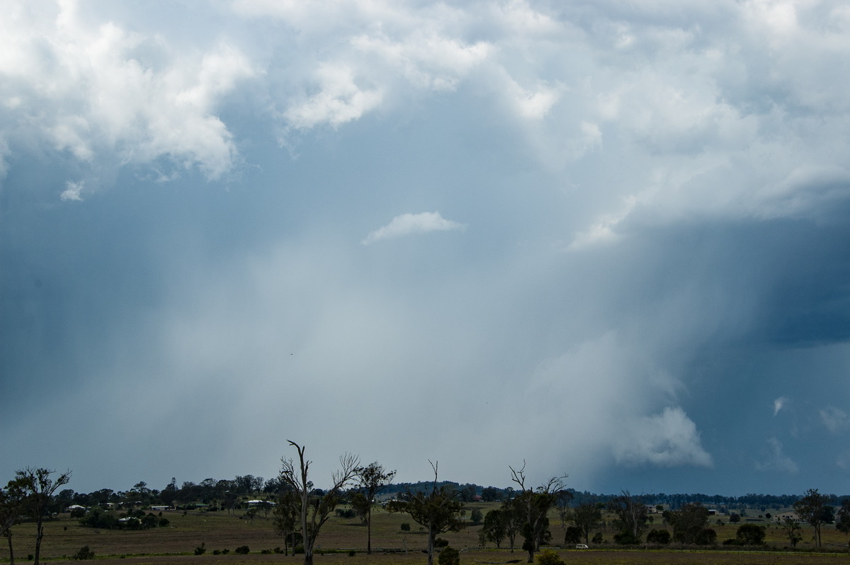 raincascade precipitation_cascade : Beaudesert, QLD   16 November 2008