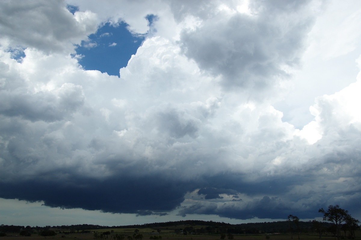 cumulus congestus : Beaudesert, QLD   16 November 2008