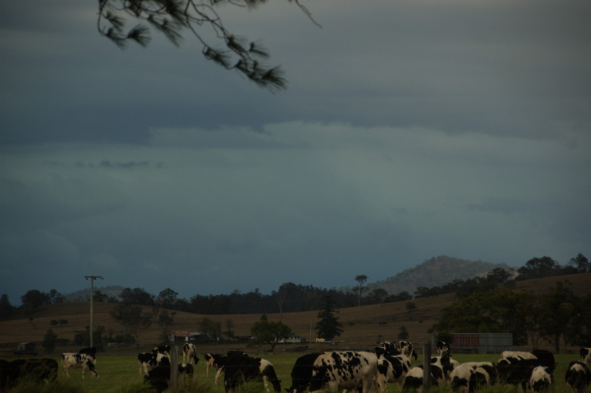 cumulonimbus thunderstorm_base : Beaudesert, QLD   16 November 2008