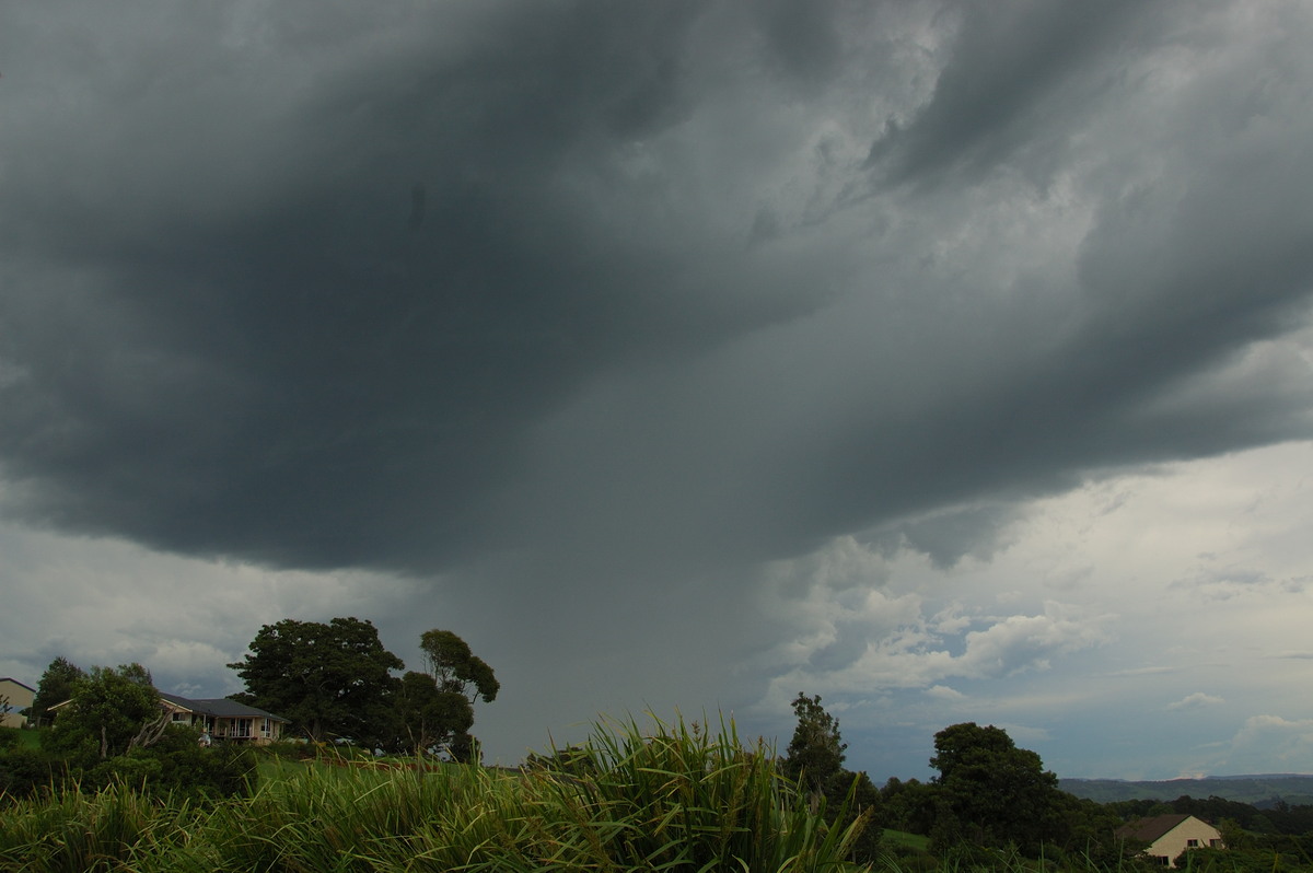 raincascade precipitation_cascade : McLeans Ridges, NSW   20 November 2008