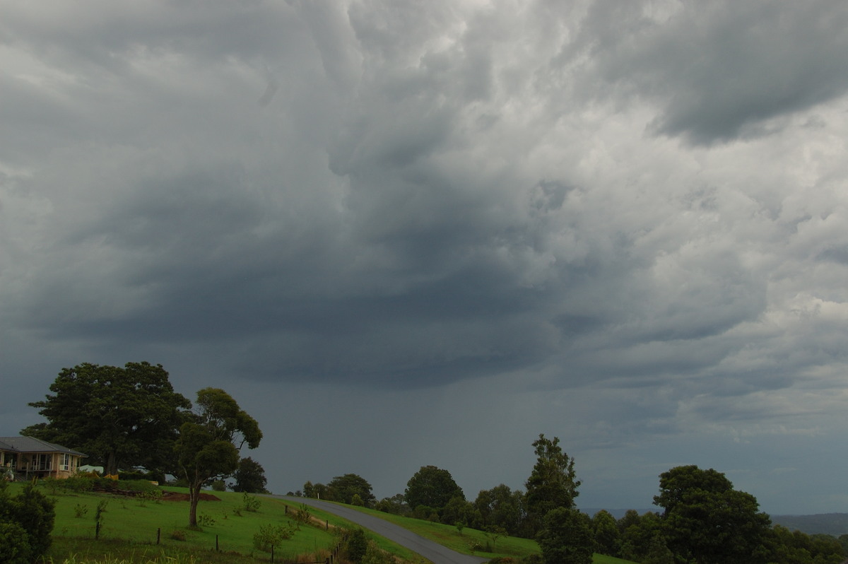 cumulonimbus thunderstorm_base : McLeans Ridges, NSW   20 November 2008