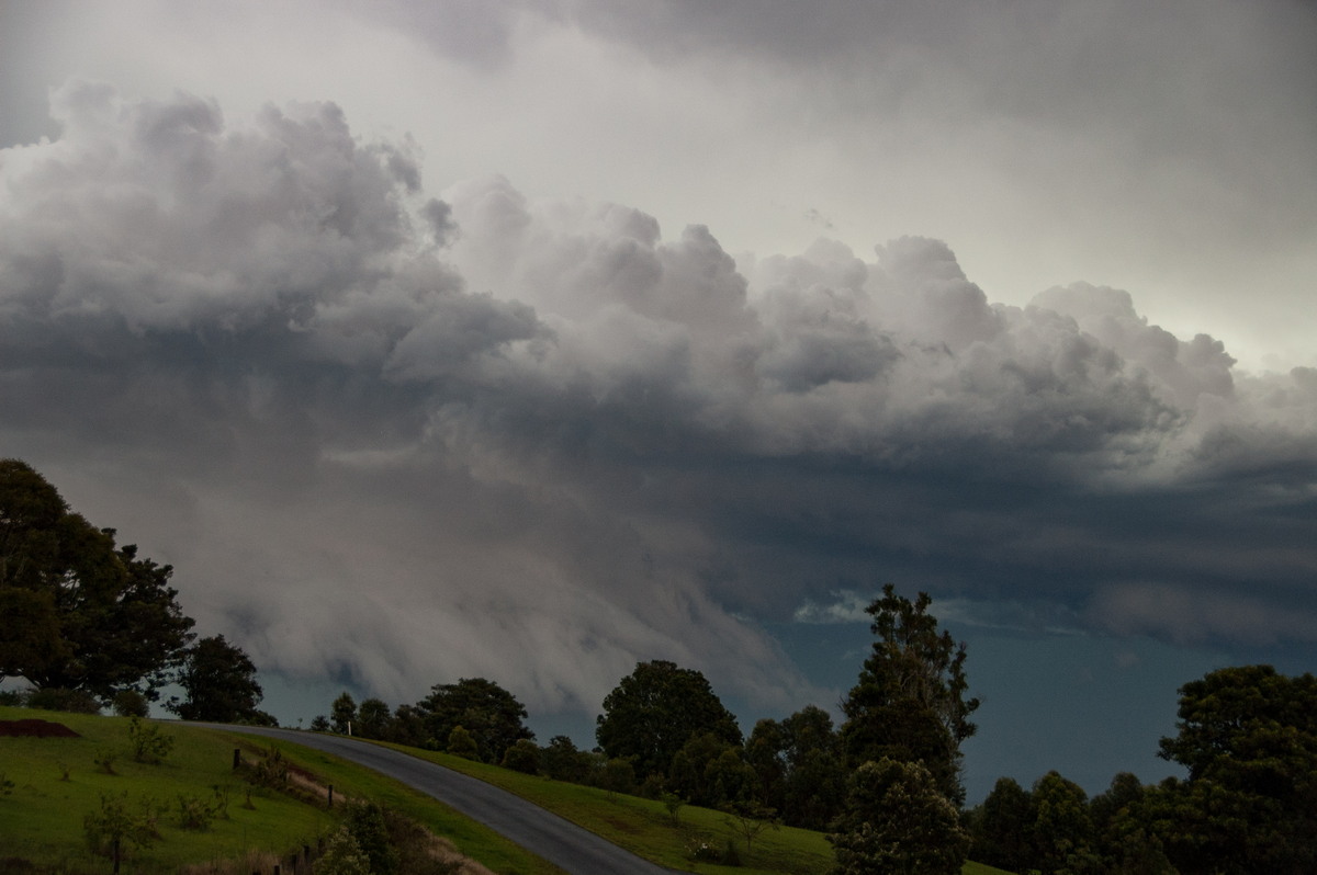 shelfcloud shelf_cloud : McLeans Ridges, NSW   20 November 2008