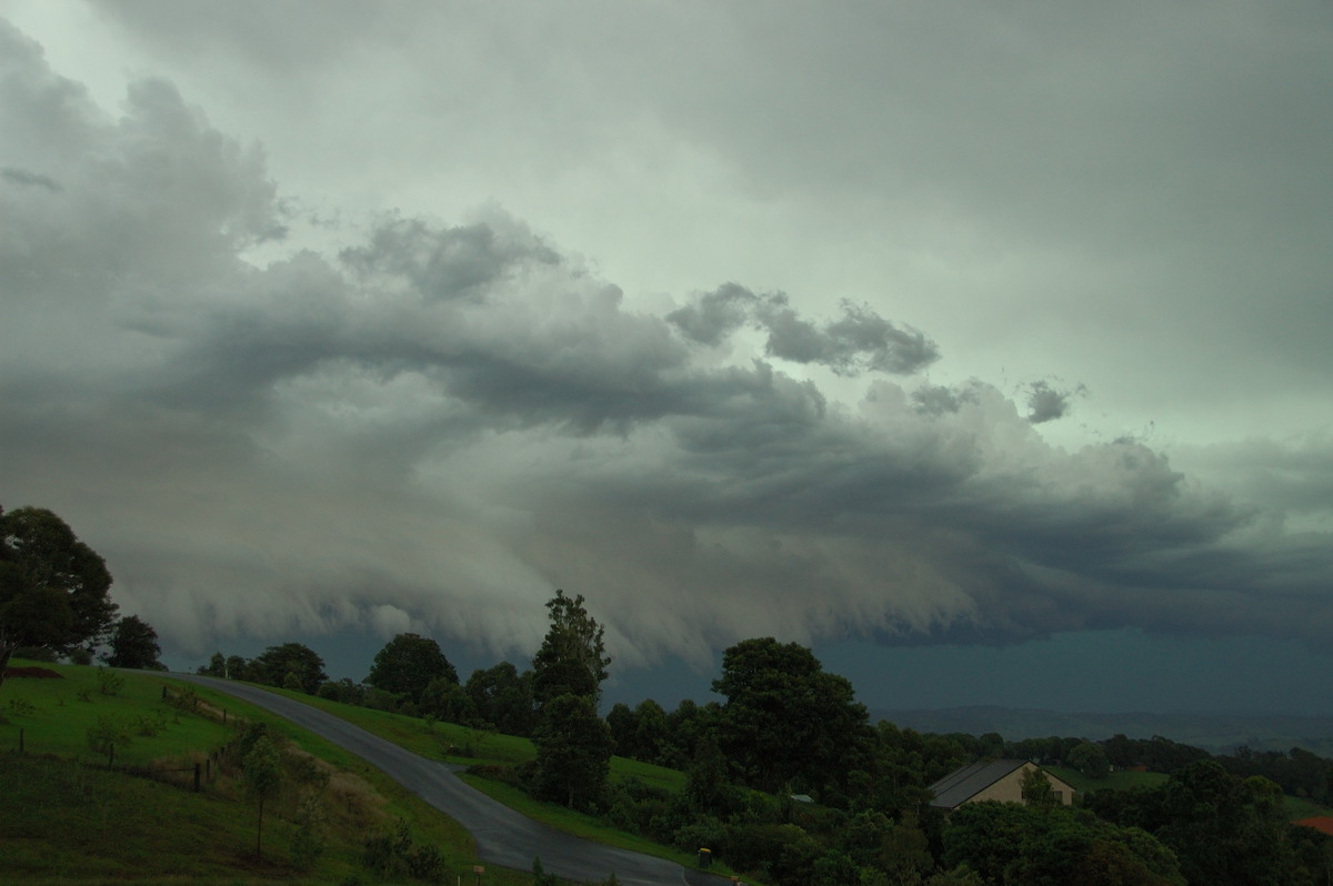 shelfcloud shelf_cloud : McLeans Ridges, NSW   20 November 2008