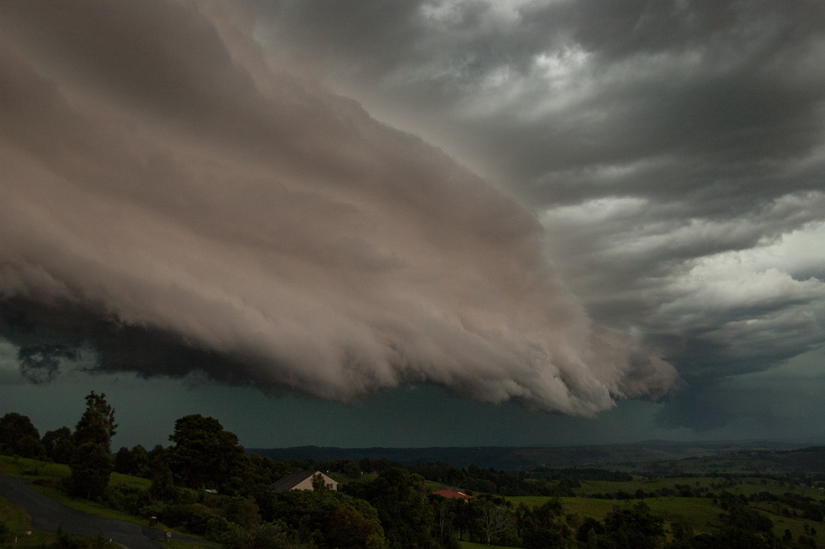 shelfcloud shelf_cloud : McLeans Ridges, NSW   20 November 2008