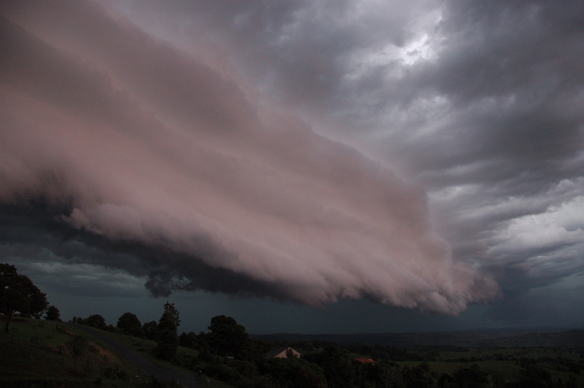 shelfcloud shelf_cloud : McLeans Ridges, NSW   20 November 2008