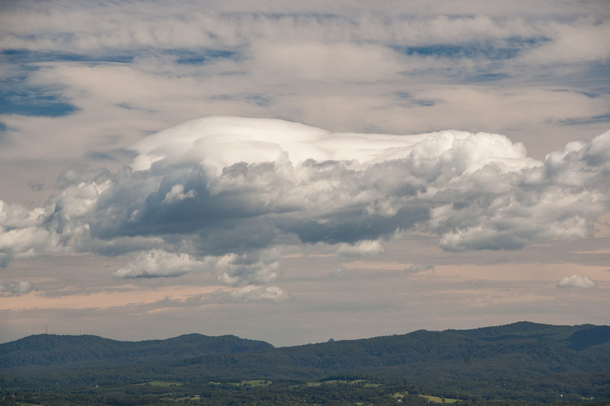 pileus pileus_cap_cloud : McLeans Ridges, NSW   22 November 2008