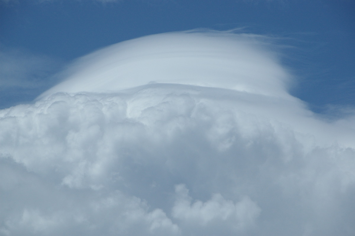 pileus pileus_cap_cloud : McLeans Ridges, NSW   25 November 2008