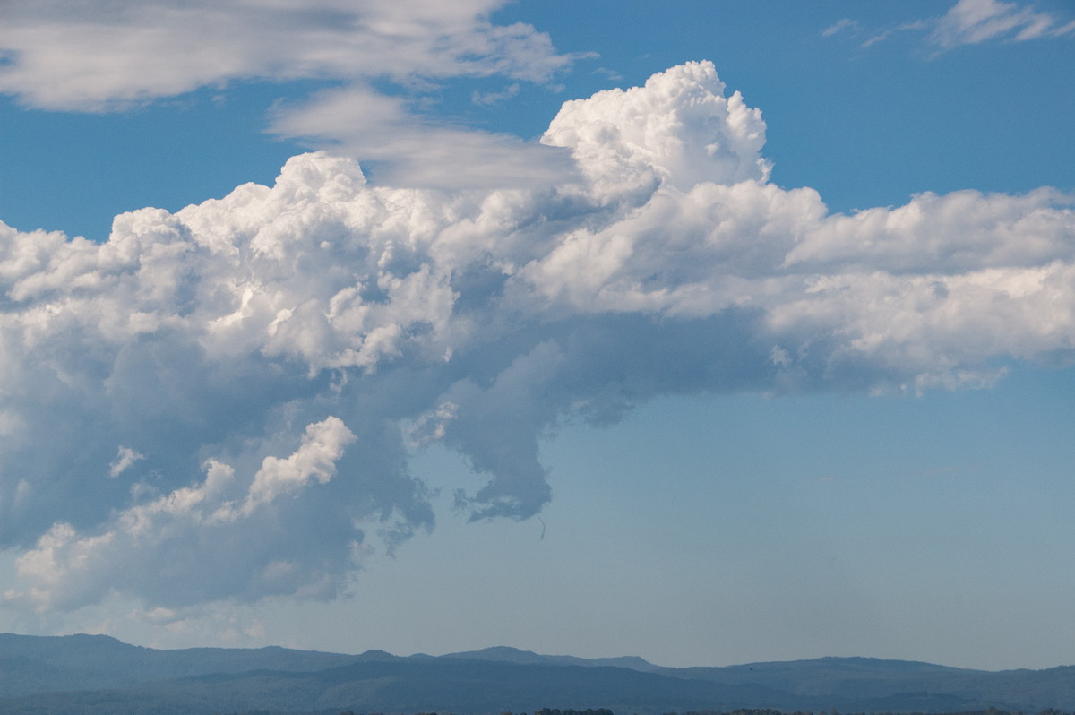 cumulus congestus : McLeans Ridges, NSW   2 December 2008