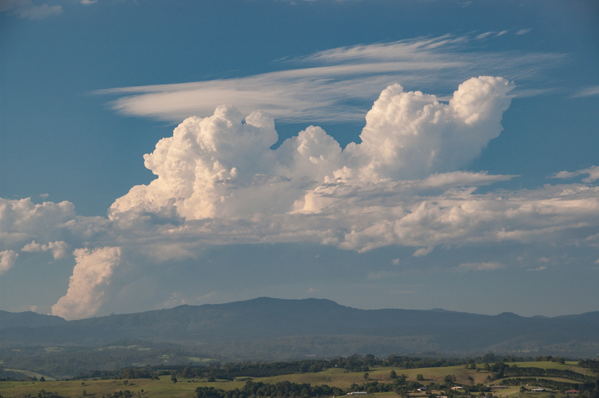 cumulus congestus : McLeans Ridges, NSW   2 December 2008