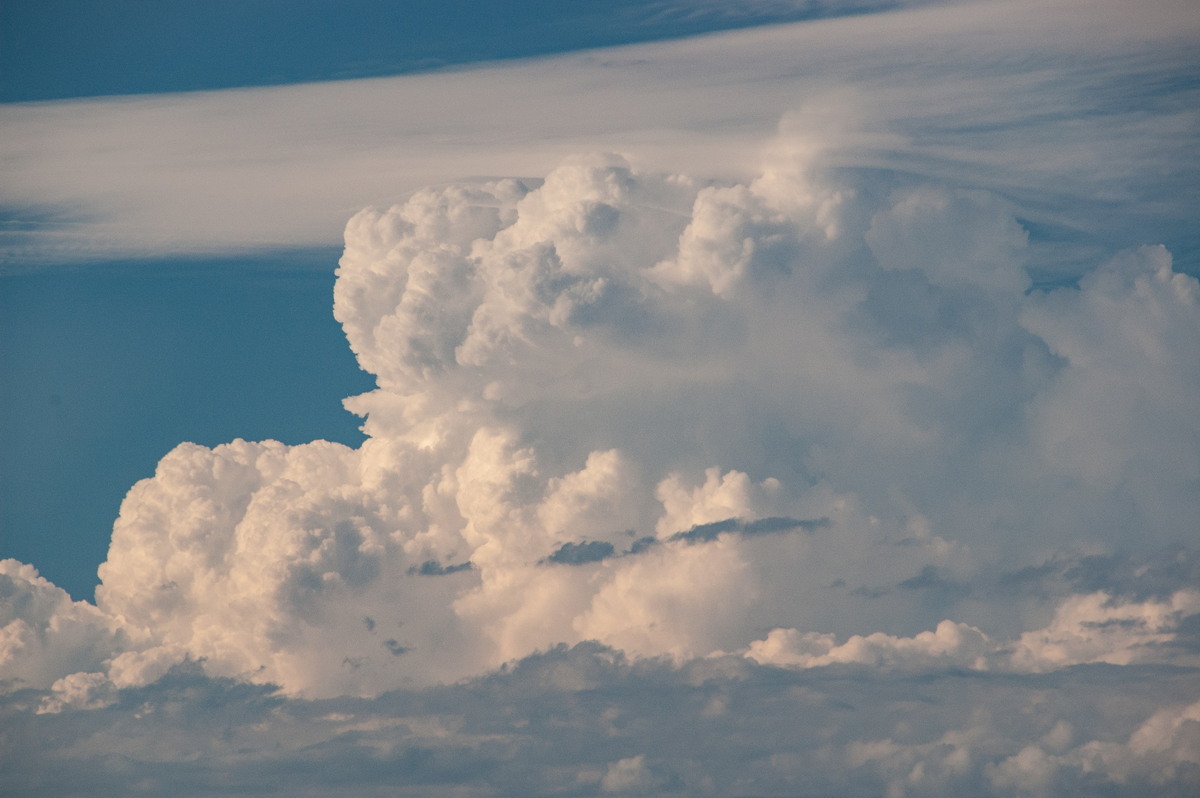 pileus pileus_cap_cloud : McLeans Ridges, NSW   2 December 2008