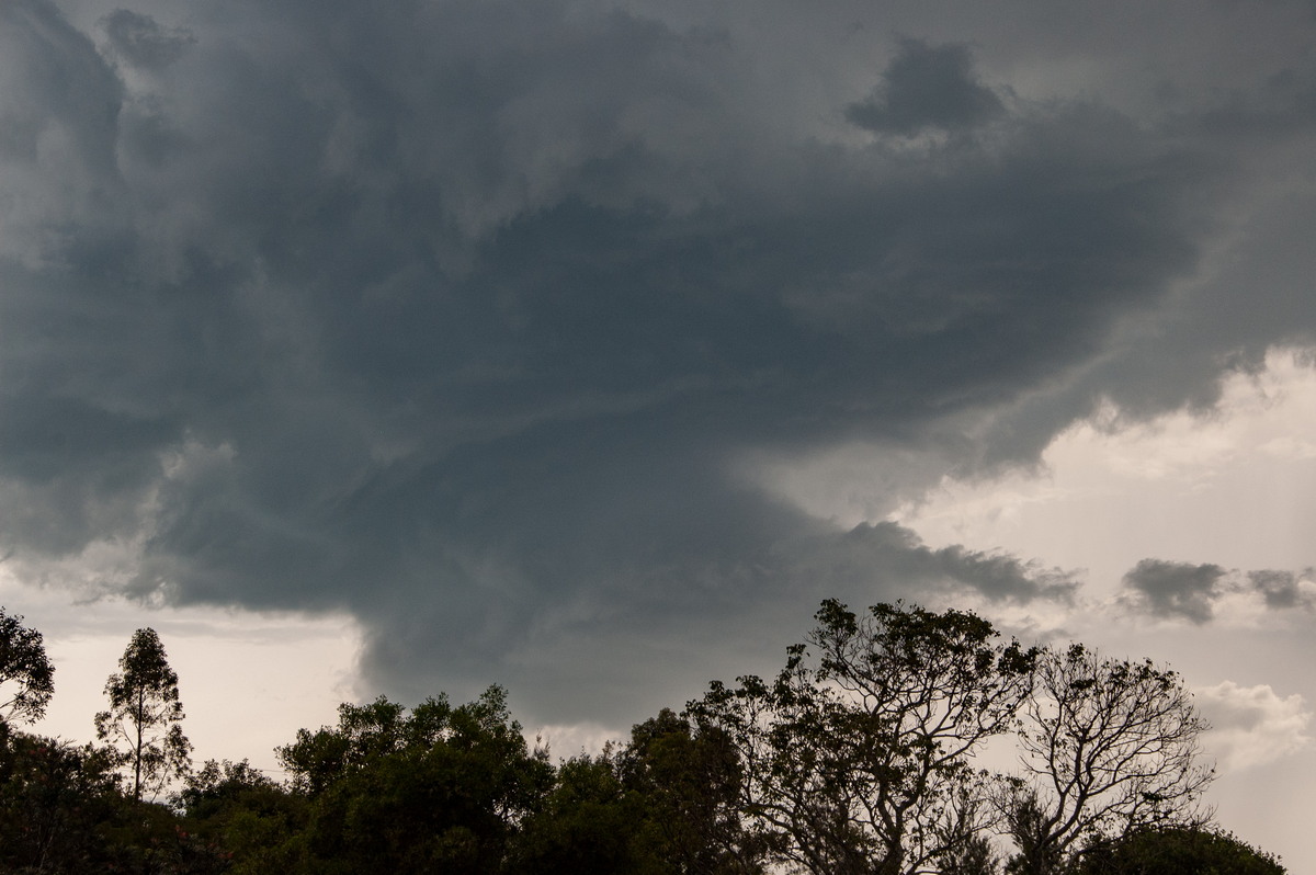 wallcloud thunderstorm_wall_cloud : McLeans Ridges, NSW   3 December 2008