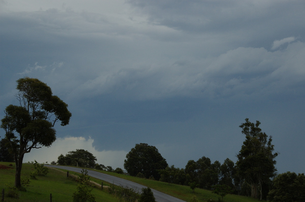 cumulonimbus thunderstorm_base : McLeans Ridges, NSW   3 December 2008