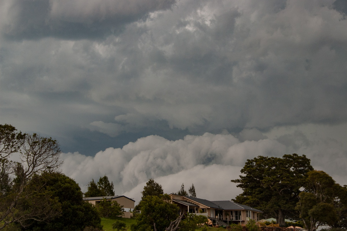 shelfcloud shelf_cloud : McLeans Ridges, NSW   3 December 2008