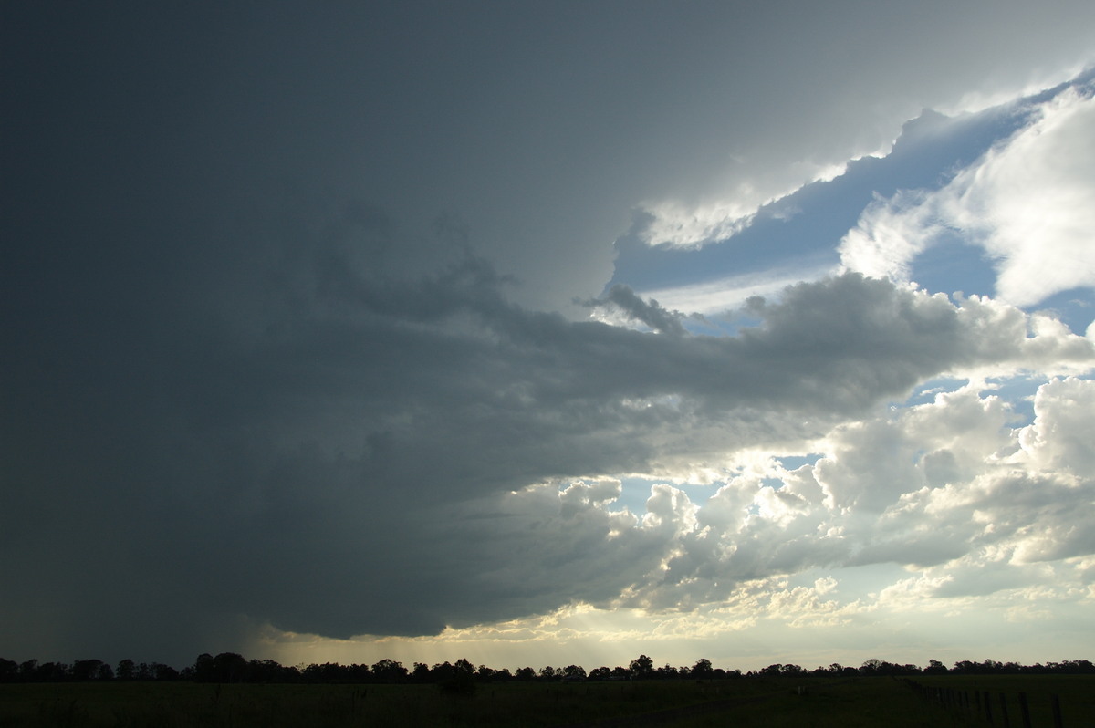 cumulonimbus thunderstorm_base : Ruthven, NSW   10 December 2008