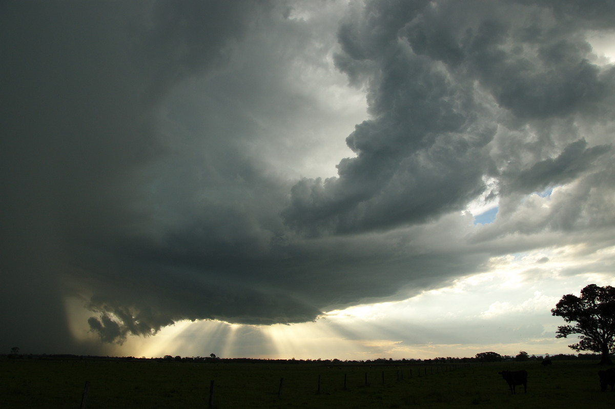 wallcloud thunderstorm_wall_cloud : McKees Hill, NSW   10 December 2008