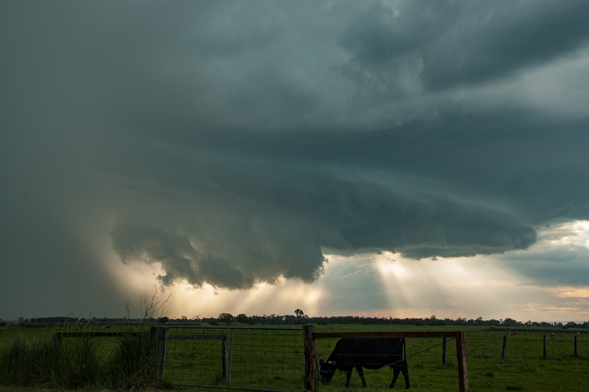 wallcloud thunderstorm_wall_cloud : McKees Hill, NSW   10 December 2008